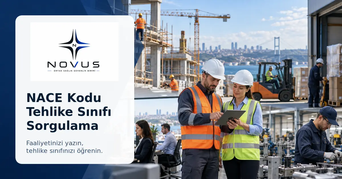 NACE kodu ve işyeri tehlike sınıfı sorgulama aracı